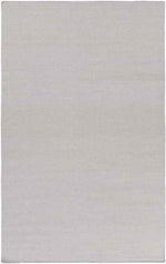 Davis Modern Light Gray Area Rug