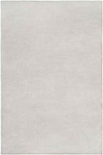 Davis Modern Beige Area Rug