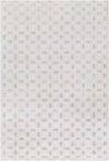 Neston Modern Tan/Gray Area Rug