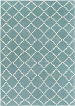 Selwerd Modern Aqua Area Rug