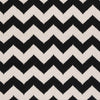 Emanuel Modern Jet Black/Winter White Area Rug