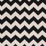 Emanuel Modern Jet Black/Winter White Area Rug