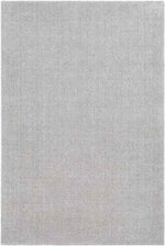 Remy Modern Medium Gray Area Rug