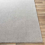 Remy Modern Medium Gray Area Rug