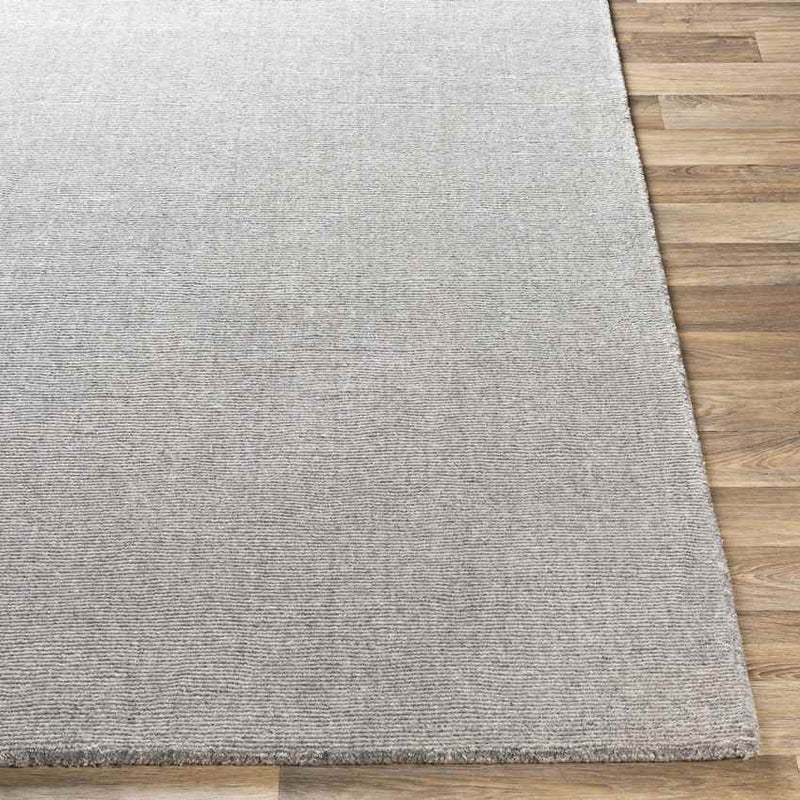 Remy Modern Medium Gray Area Rug