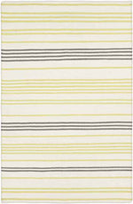 Epes Modern Lime/Gray Area Rug