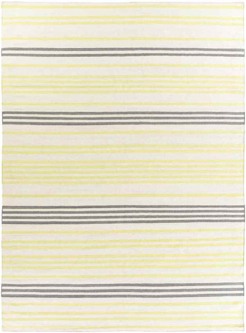 Epes Modern Lime/Gray Area Rug
