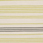 Epes Modern Lime/Gray Area Rug