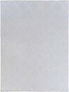 Selwerd Modern Light Blue Area Rug