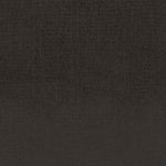Salene Modern Black Area Rug