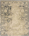 Soleil Traditional Cream Area Rug