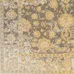 Sosie Traditional Medium Gray Area Rug