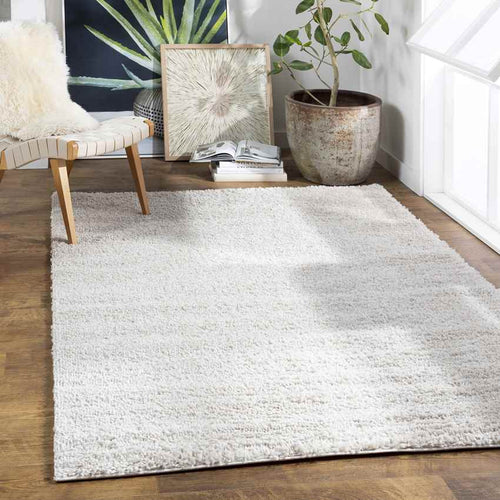 Vere Modern Beige Area Rug