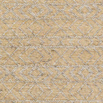Ales Global Beige Area Rug