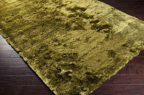 Villiers Modern Lime Area Rug