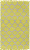 Kobuk Modern Lime/Light Gray Area Rug
