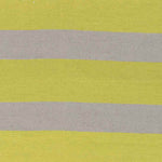 Koyuk Modern Green/Light Gray Area Rug