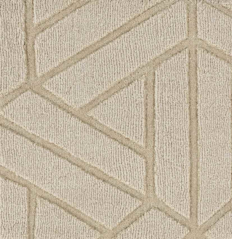 Shippagan Modern Ivory Area Rug