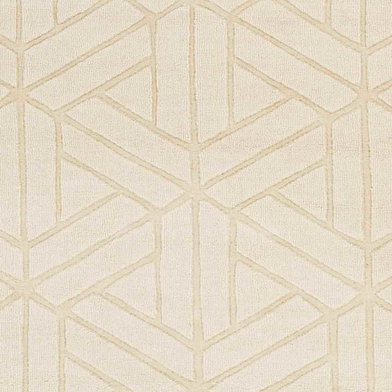 Shippagan Modern Ivory Area Rug