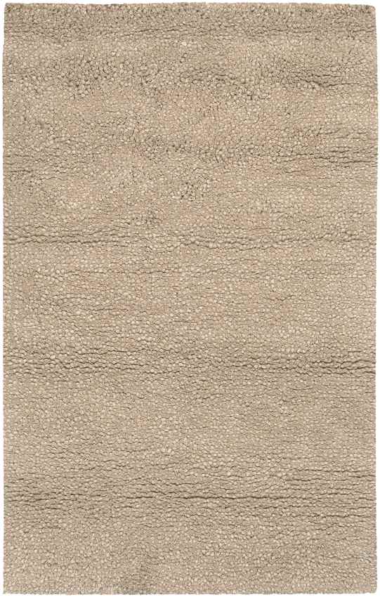 Manassas Modern Tan Area Rug