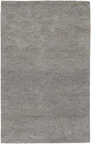 Manassas Modern Gray Area Rug
