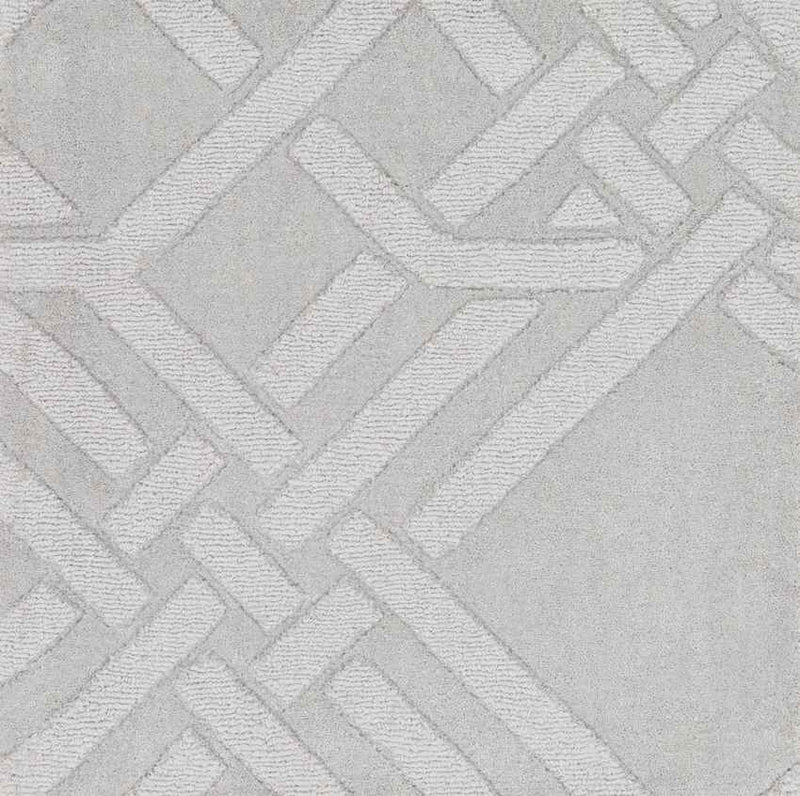 Mosses Modern Light Gray/Slate Area Rug