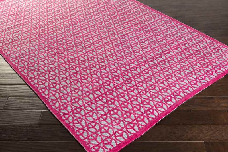 Omega Modern Pink Area Rug