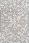 Bedworth Traditional Light Gray Area Rug