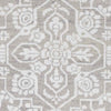 Bedworth Traditional Light Gray Area Rug