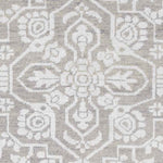 Bedworth Traditional Light Gray Area Rug