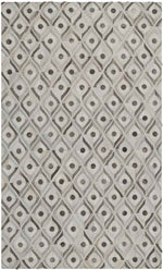 Bideford Modern Medium Gray Area Rug