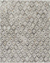 Bideford Modern Medium Gray Area Rug