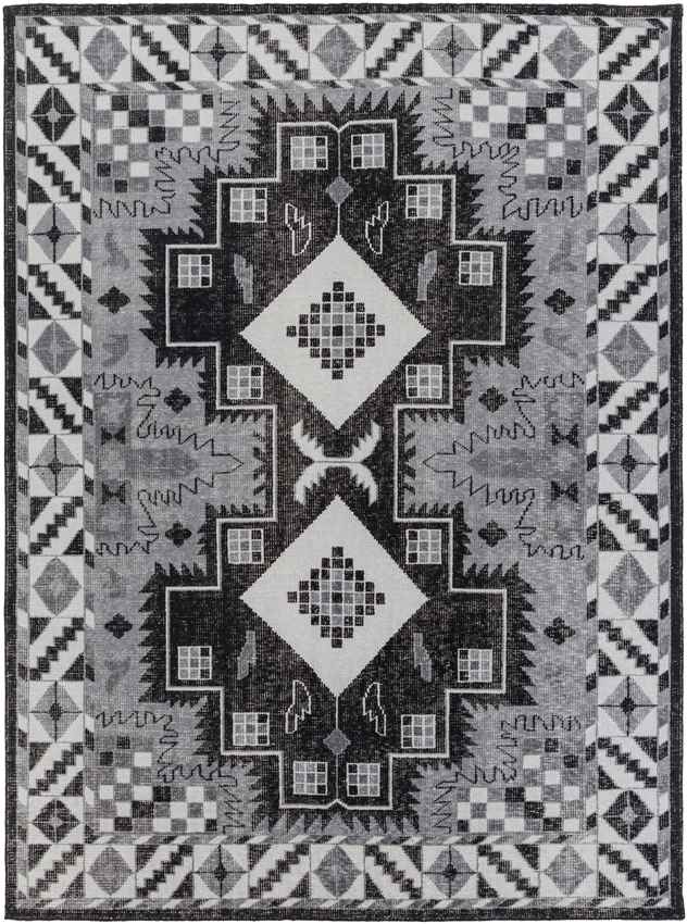 Plainview Modern Gray/Black Area Rug