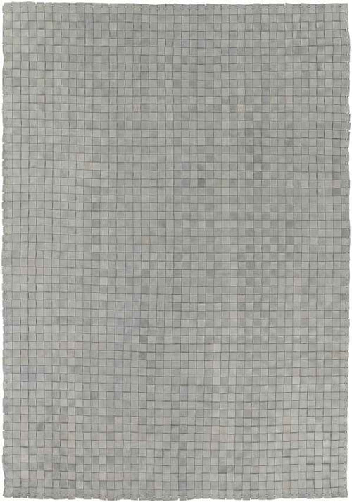 Redlands Modern Gray Area Rug
