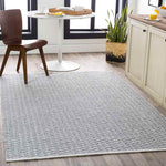 Blyth Modern Medium Gray Area Rug