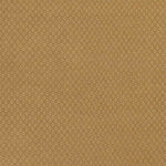 Tranise Cottage Gold Area Rug
