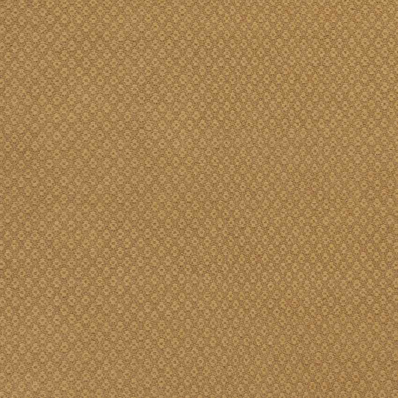 Tranise Cottage Gold Area Rug