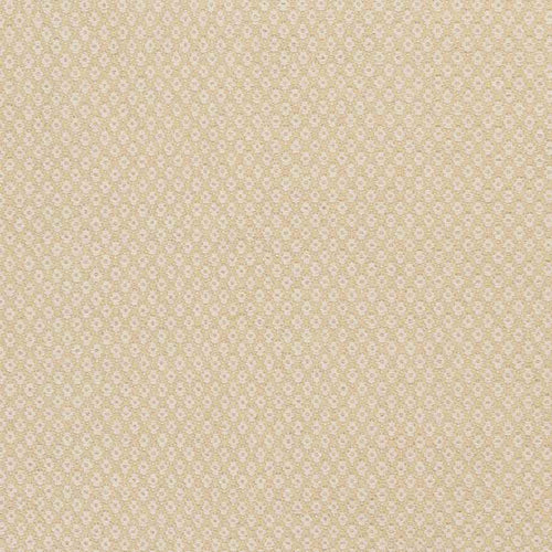 Tranise Cottage Ivory/Olive Area Rug