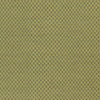 Tranise Cottage Lime Area Rug