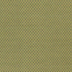 Tranise Cottage Lime Area Rug
