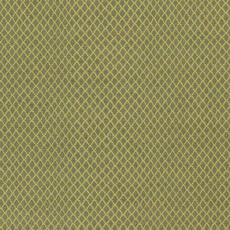 Tranise Cottage Lime Area Rug