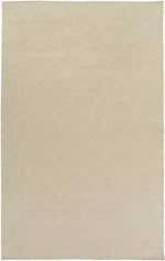 Salesville Modern Ivory Area Rug