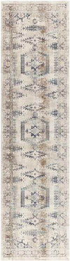 Burford Traditional Aqua Area Rug
