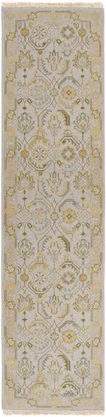 Sylvan Traditional Pale Blue Area Rug