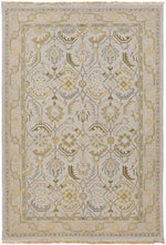 Sylvan Traditional Pale Blue Area Rug