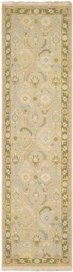 Sylvan Traditional Coral/Ivory/Oatmeal Area Rug