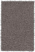 Tuscaloosa Modern Gray Area Rug