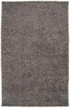 Tuscaloosa Modern Gray Area Rug