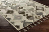 Washington Global Beige/Gray Area Rug