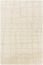 Wynne Modern Beige Area Rug